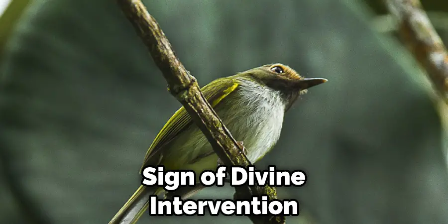 Sign of Divine Intervention