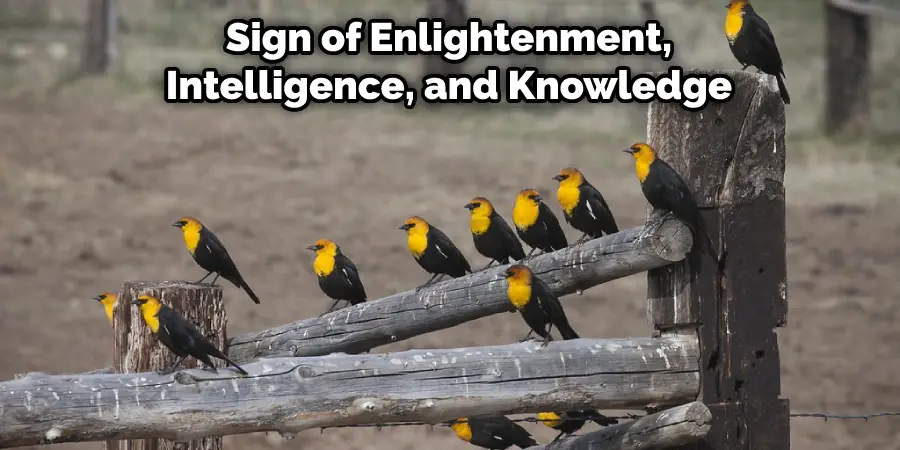 Sign of Enlightenment, Intelligence, and Knowledge