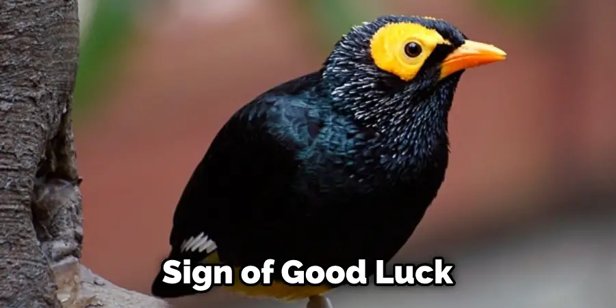 Sign of Good Luck
