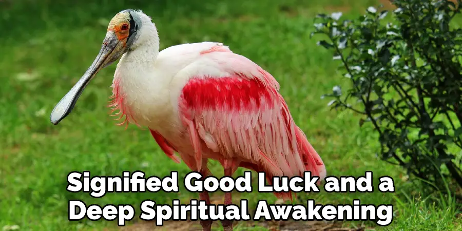 Signified Good Luck and a Deep Spiritual Awakening