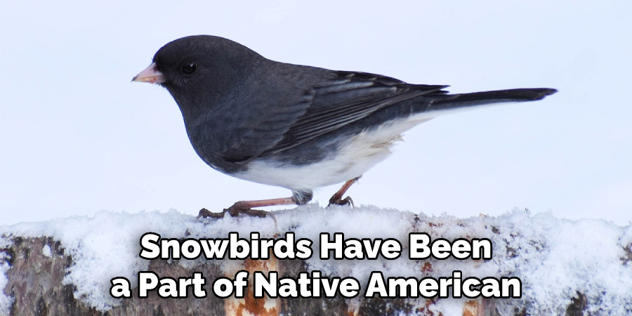 Snowbirds Have Been a Part of Native American