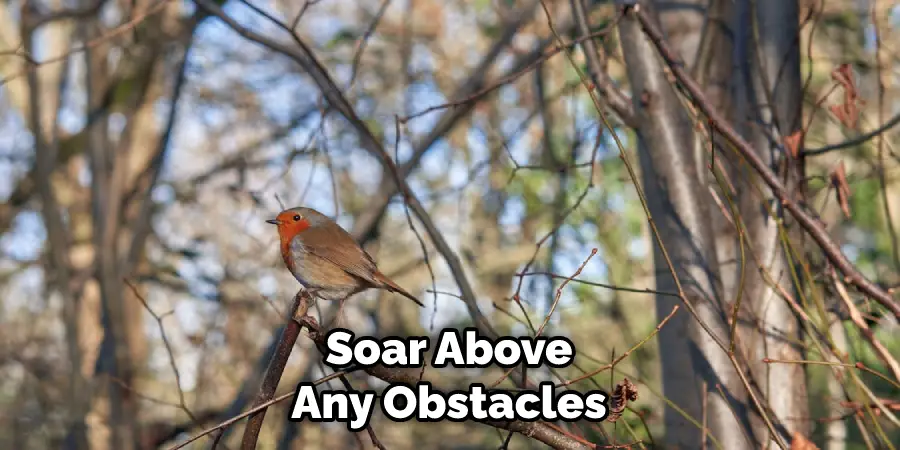 Soar Above Any Obstacles