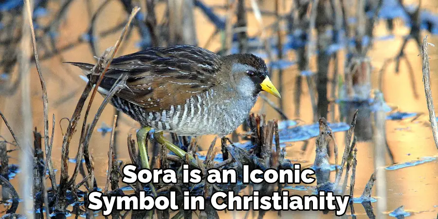 Sora is an Iconic Symbol in Christianity