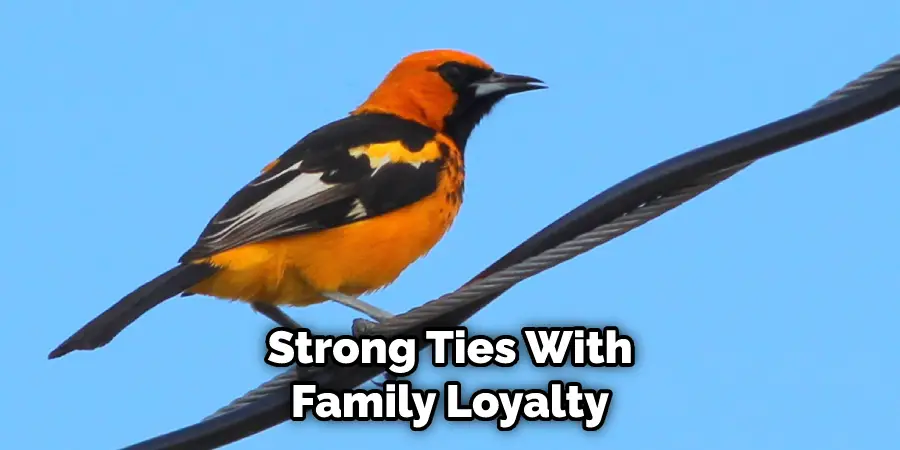 Strong Ties With Family Loyalty