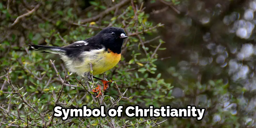  Symbol of Christianity