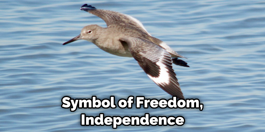 Symbol of Freedom, Independence