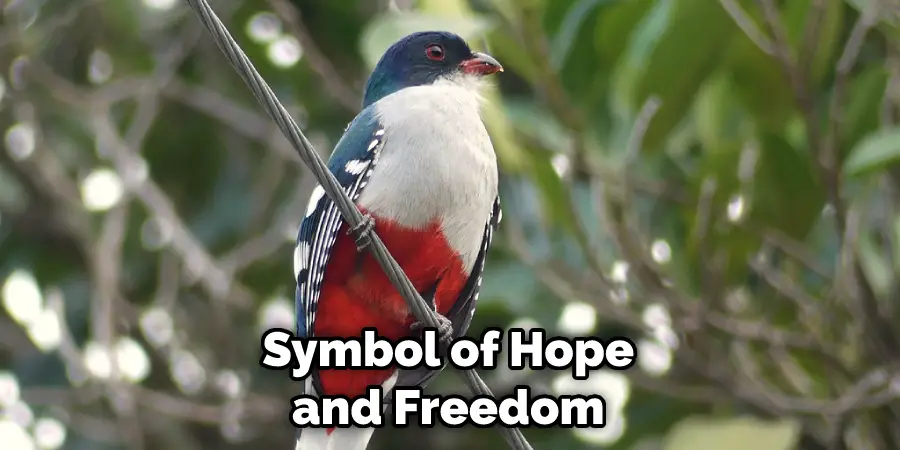 Symbol of Hope and Freedom