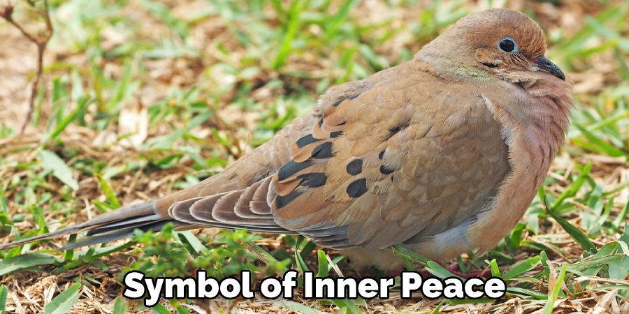 Symbol of Inner Peace