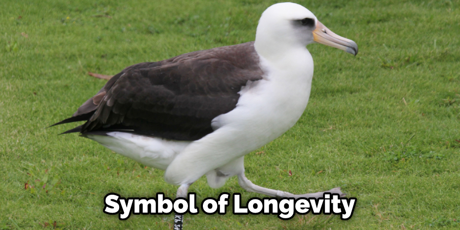 Symbol of Longevity