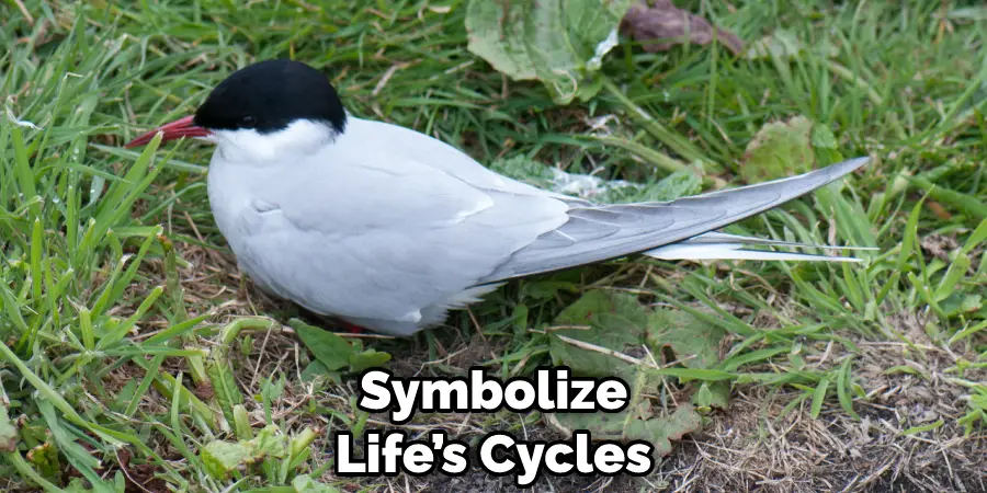 Symbolize Life’s Cycles