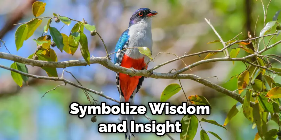 Symbolize Wisdom and Insight