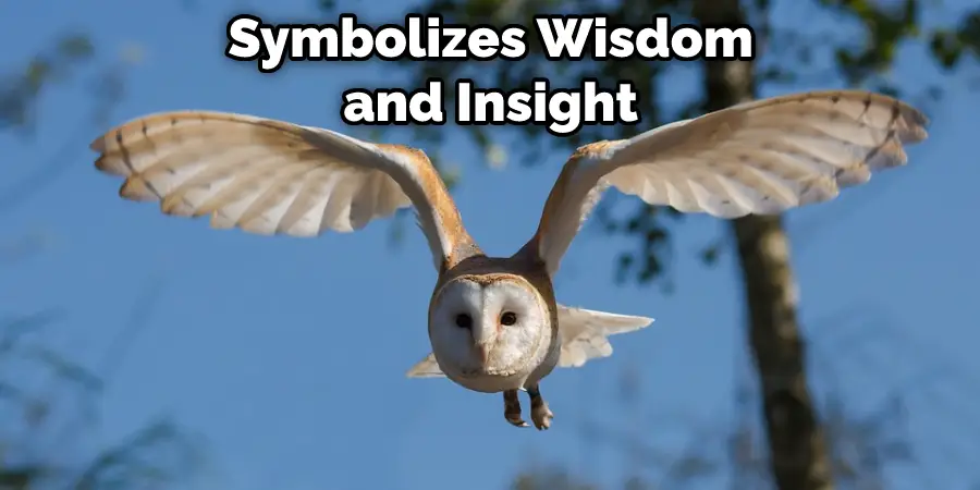 Symbolizes Wisdom and Insight
