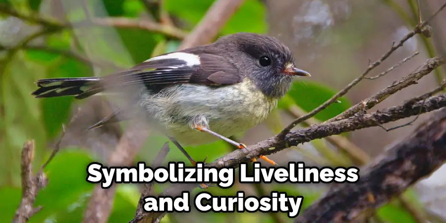 Symbolizing Liveliness and Curiosity