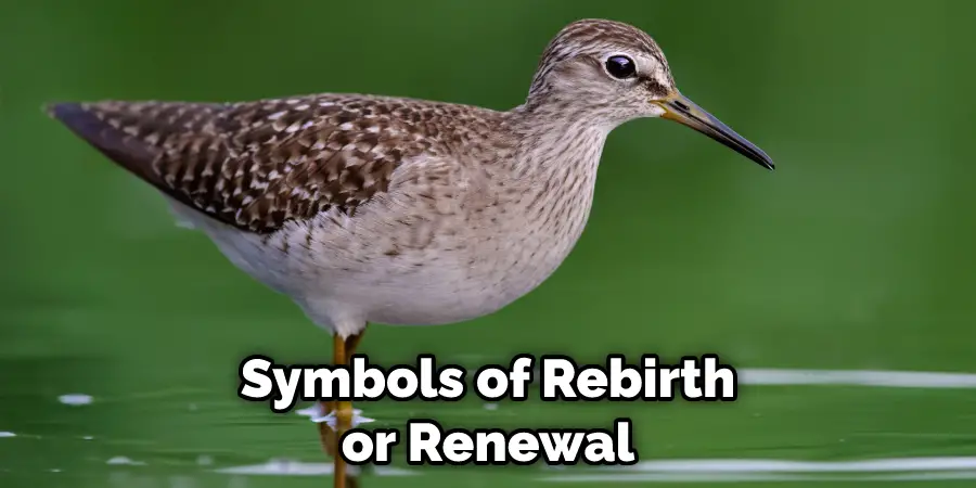 Symbols of Rebirth or Renewal