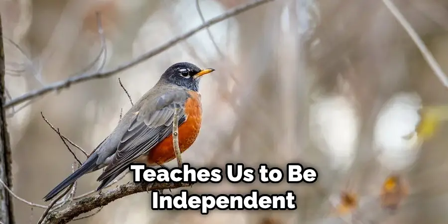 Teaches Us to Be Independent