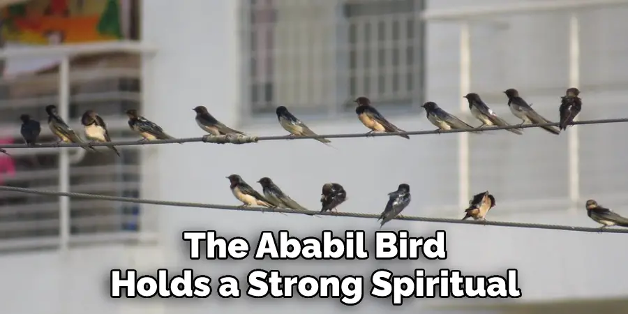The Ababil‎ Bird Holds a Strong Spiritual
