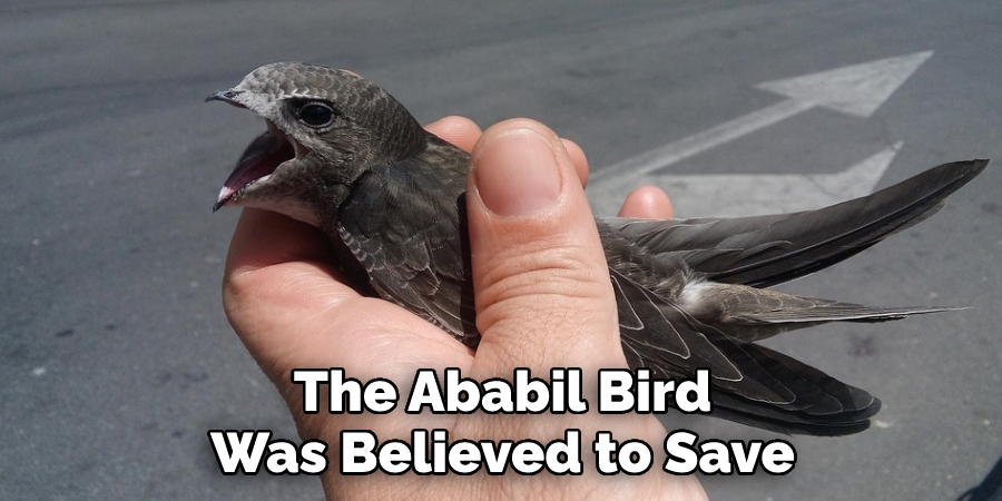 The Ababil‎ Bird Was Believed to Save