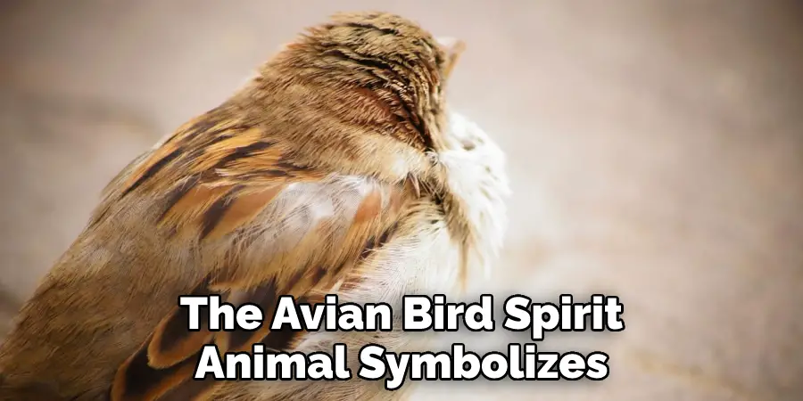 The Avian Bird Spirit Animal Symbolizes