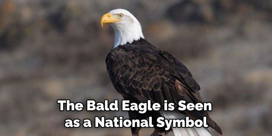 The Bald Eagle is Seen as a National Symbol