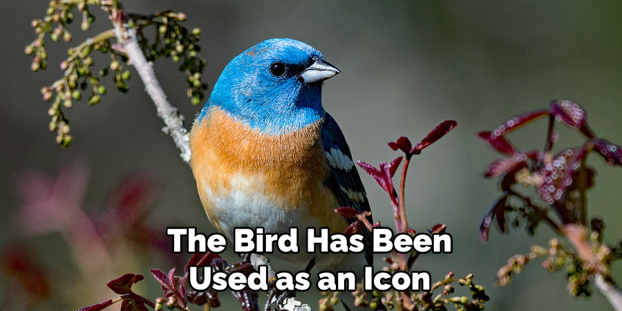 The Bird Has Been Used as an Icon
