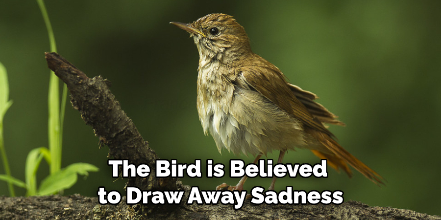 The Bird is Believed to Draw Away Sadness