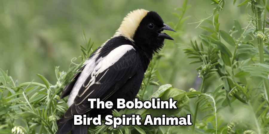 The Bobolink Bird Spirit Animal 