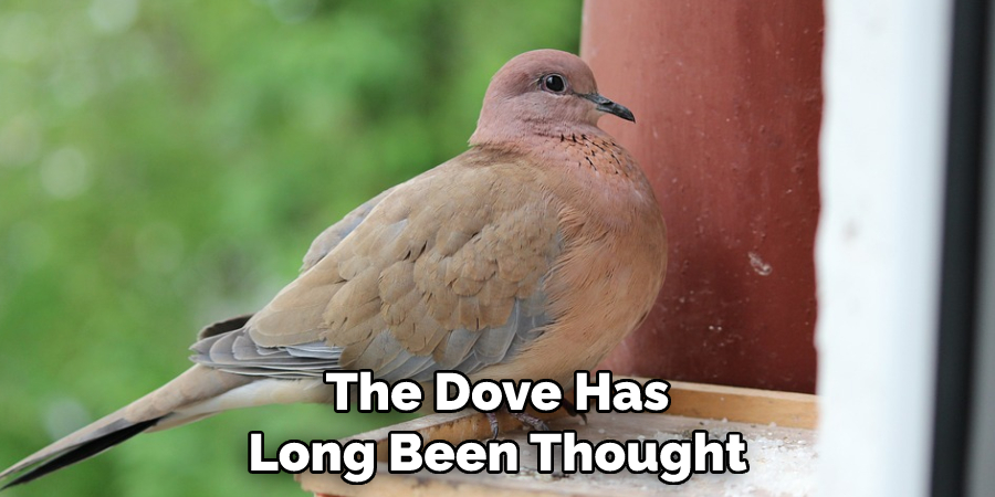 The Dove Has Long Been Thought