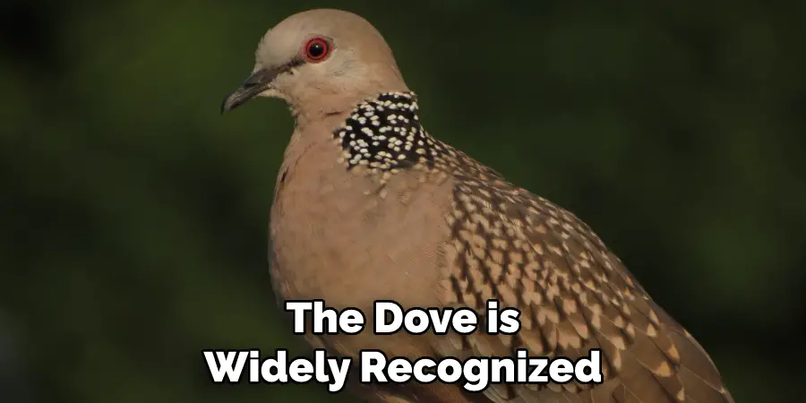 The Dove is Widely Recognized