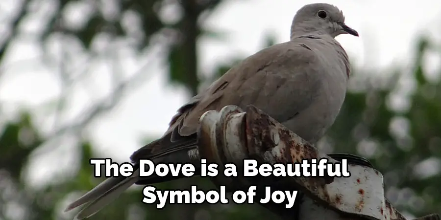 The Dove is a Beautiful
Symbol of Joy