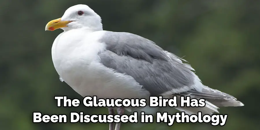 The Glaucous Bird Has Been Discussed in Mythology