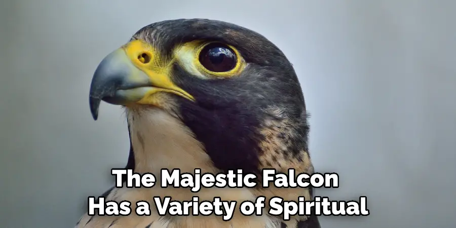 The Majestic Falcon Has a Variety of Spiritual