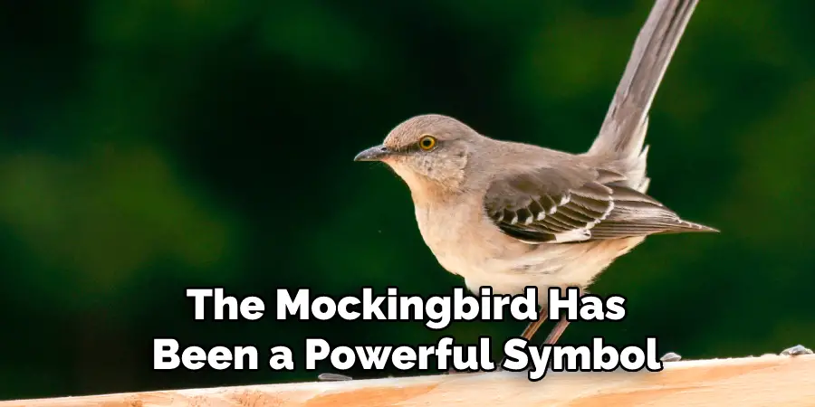 The Mockingbird Has Been a Powerful Symbol