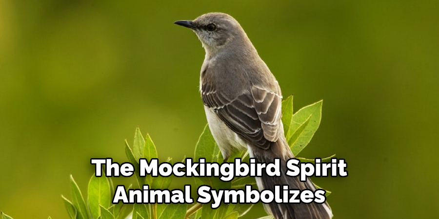 The Mockingbird Spirit Animal Symbolizes