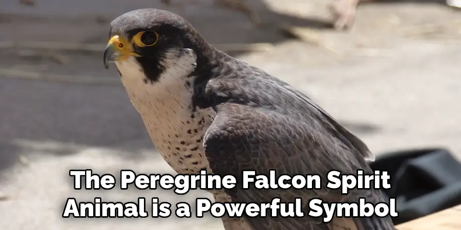 The Peregrine Falcon Spirit Animal is a Powerful Symbol