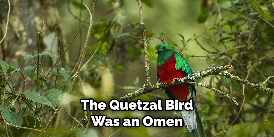 The Quetzal Bird Was an Omen