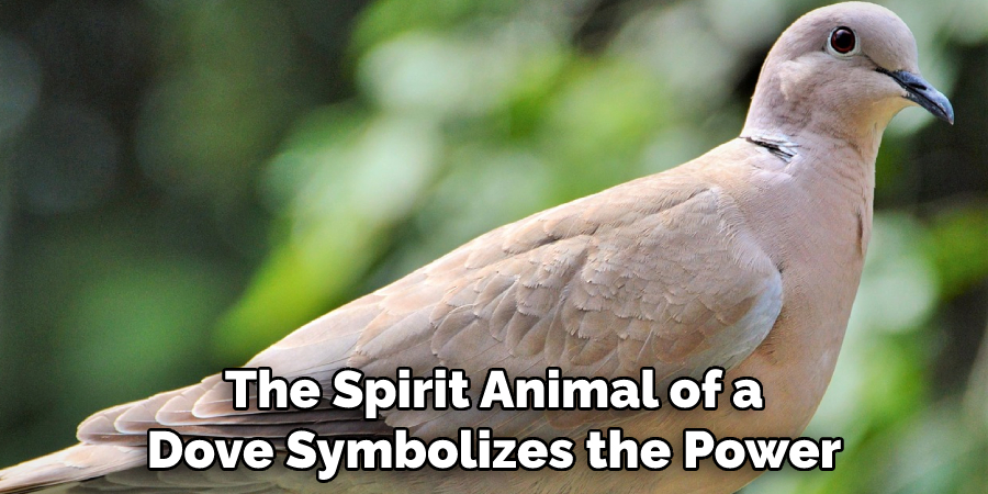 The Spirit Animal of a
Dove Symbolizes the Power
