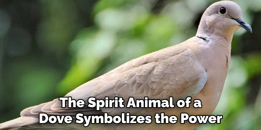 The Spirit Animal of a
Dove Symbolizes the Power