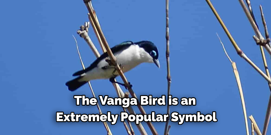 The Vanga Bird is an Extremely Popular Symbol