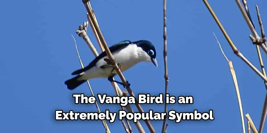 The Vanga Bird is an Extremely Popular Symbol