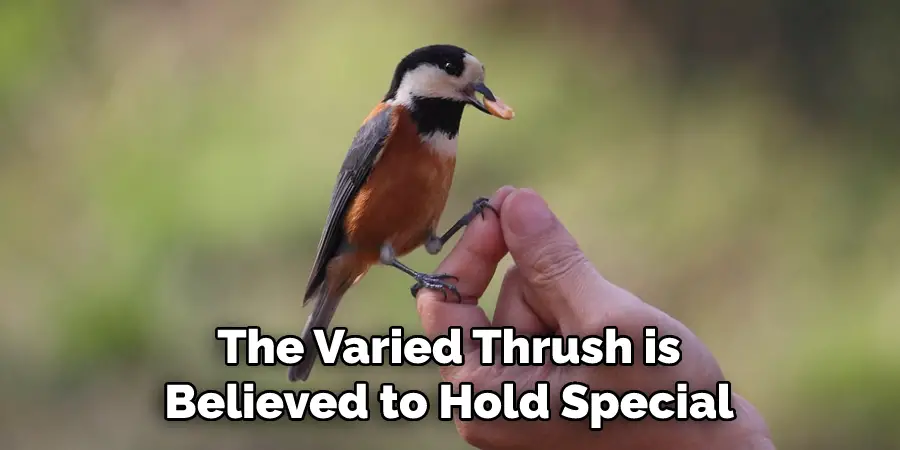 The Varied Thrush is Believed to Hold Special