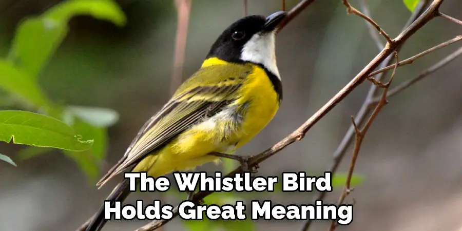 The Whistler Bird Holds Great Meaning 