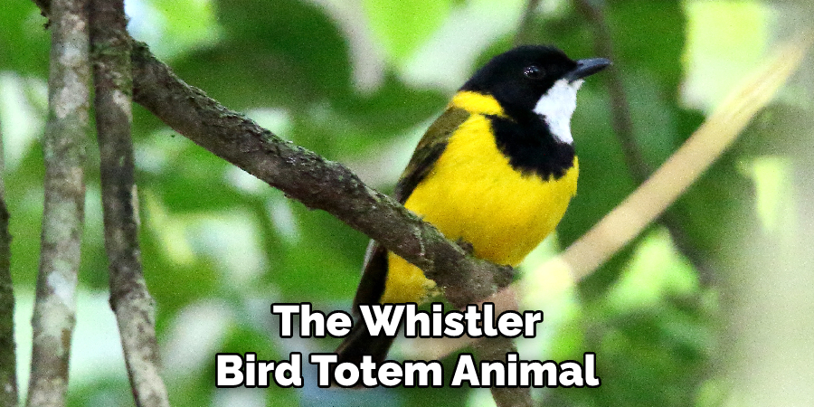 The Whistler Bird Totem Animal