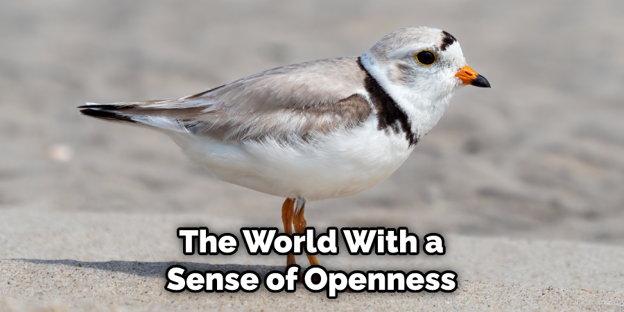 The World With a Sense of Openness