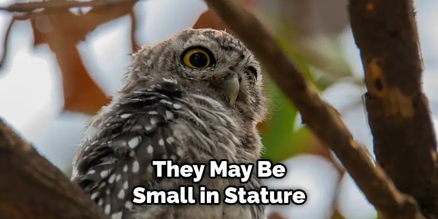 They May Be Small in Stature