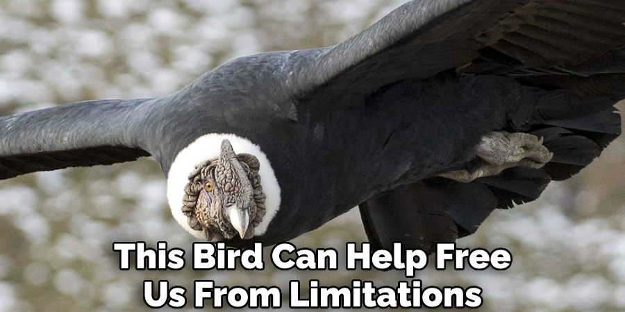 This Bird Can Help Free Us From Limitations