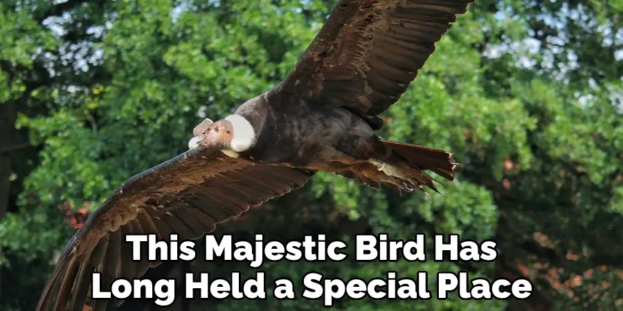 This Majestic Bird Has Long Held a Special Place