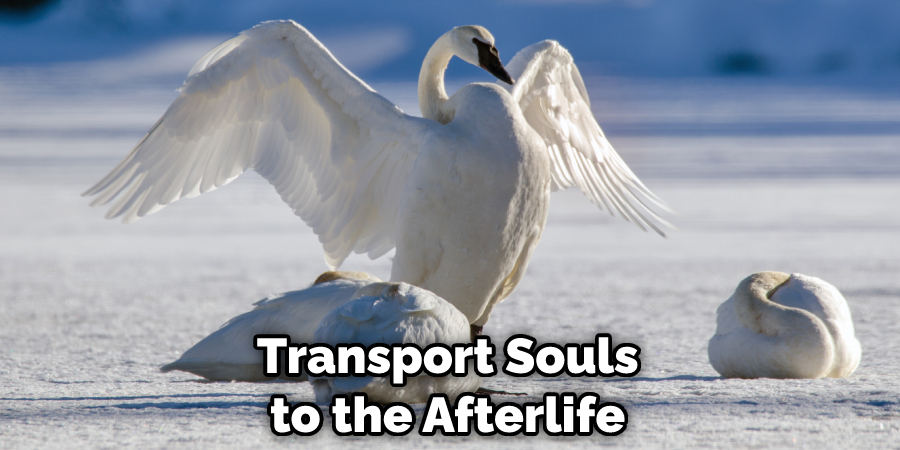 Transport Souls to the Afterlife