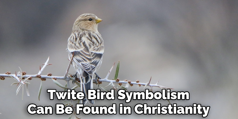 Twite Bird Symbolism Can Be Found in Christianity