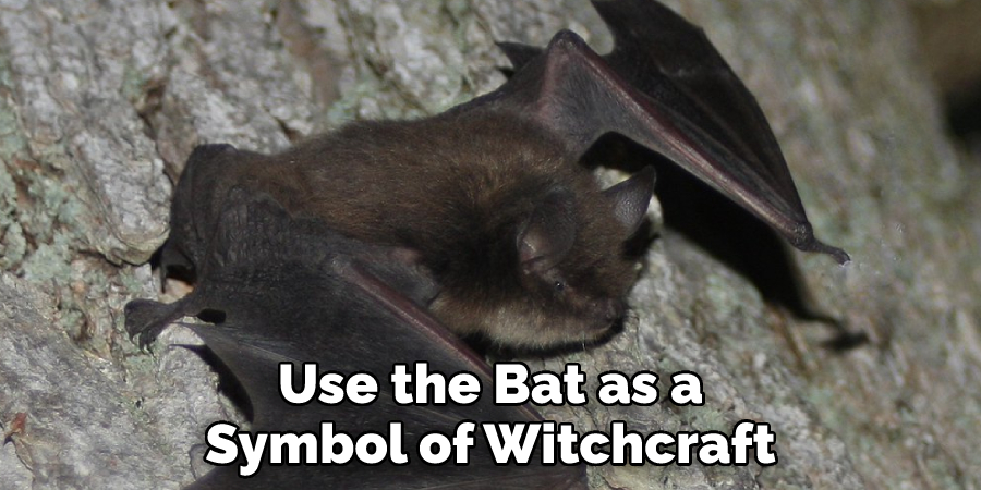 Use the Bat as a Symbol of Witchcraft