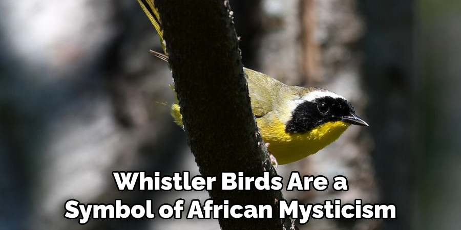 Whistler Birds Are a
Symbol of African Mysticism